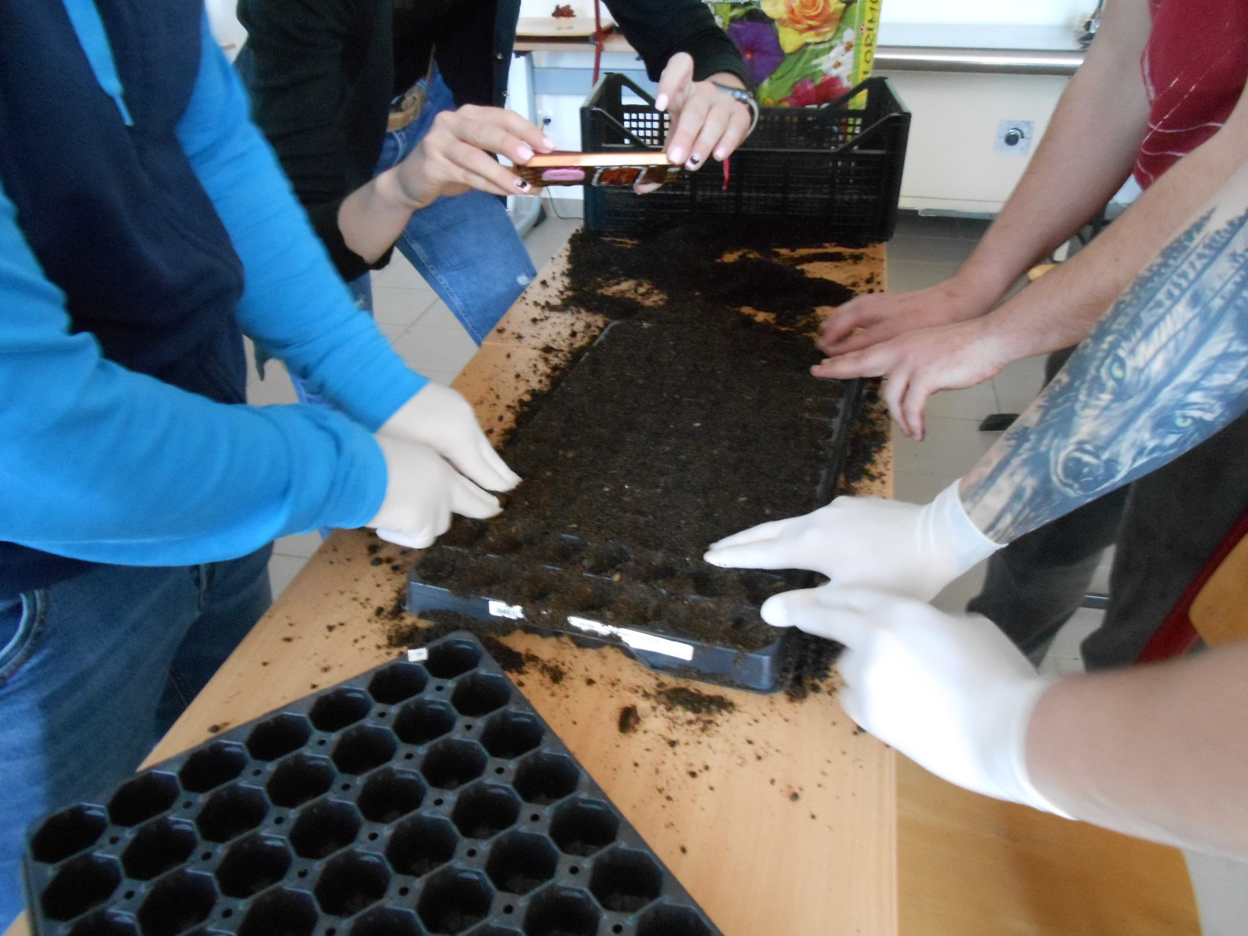 Students carrying out the experiment in the Galamb József Agricultural Secondary School in Makó
